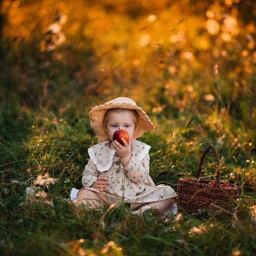 Photo #11057332