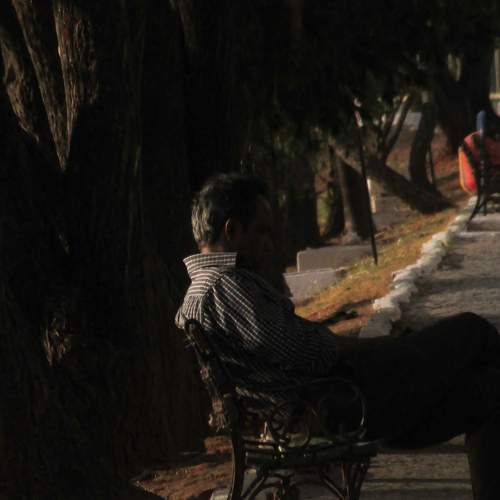 Photo #11057415