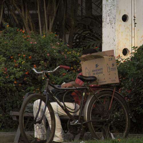 Photo #11057416