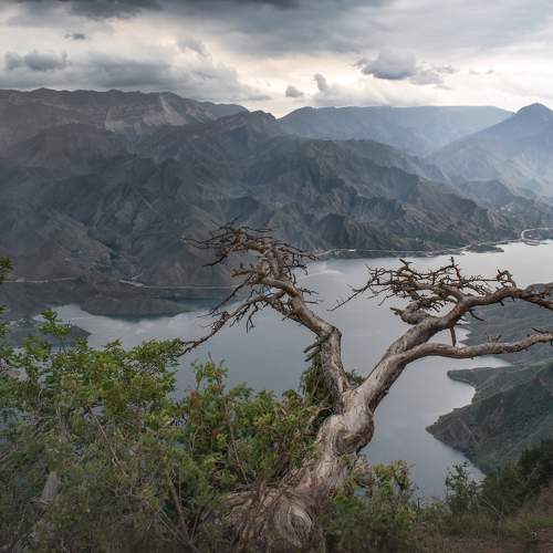 Фотография #11057523