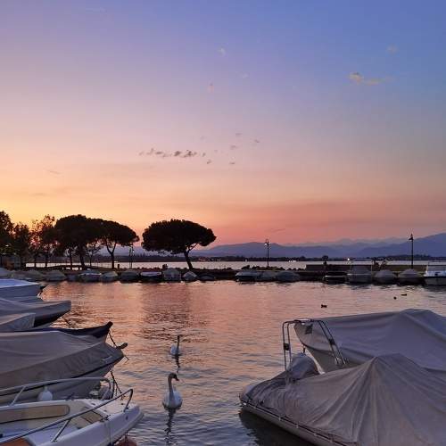 Photo #11057684