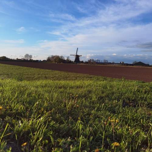 Photo #11057716