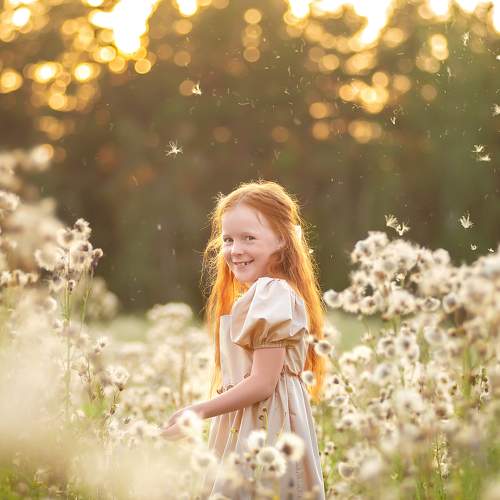 Photo #11057875