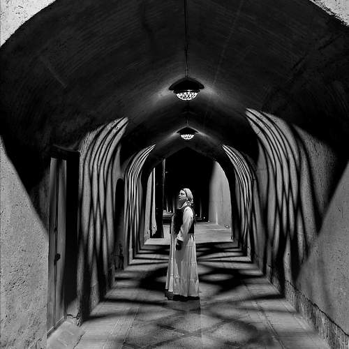 Photo #11058020