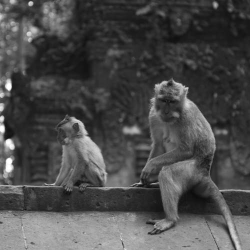 Photo #11058069