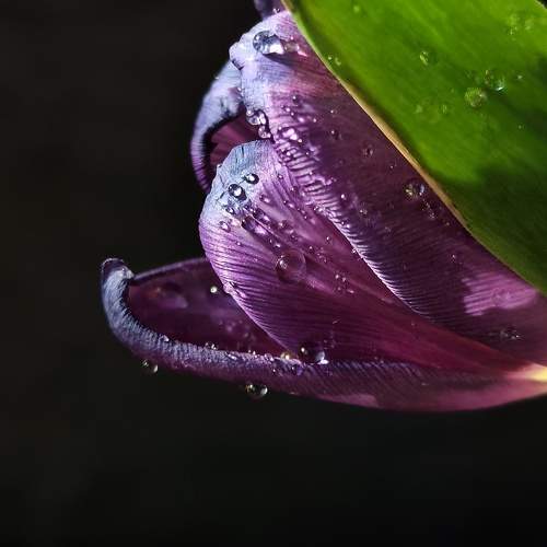 Photo #11058070