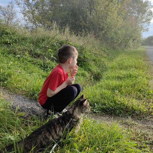 Photo #11058489
