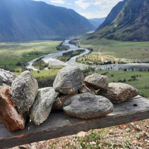 Photo #11058535