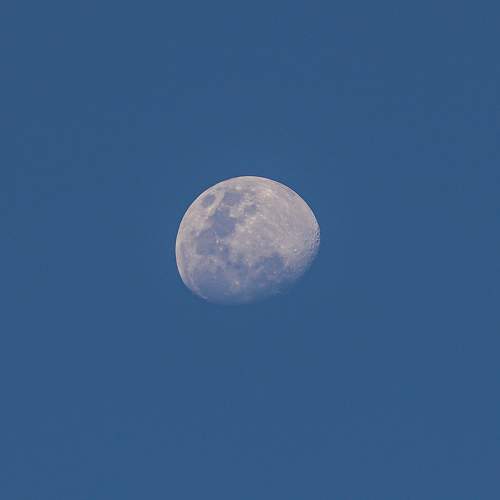 Photo #11058657