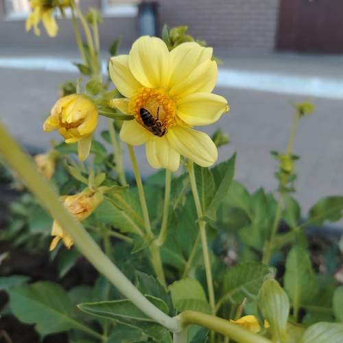Photo #11058668