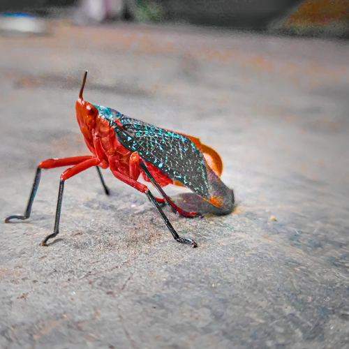 Photo #11058894