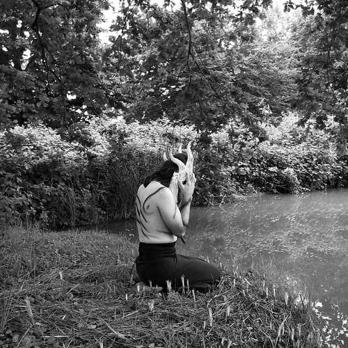 Photo #11059103