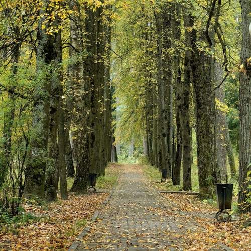 Photo #11059205
