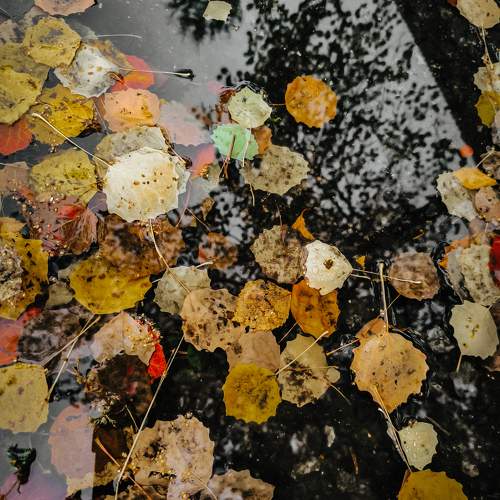 Photo #11059568