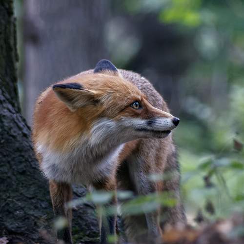 Photo #11059607