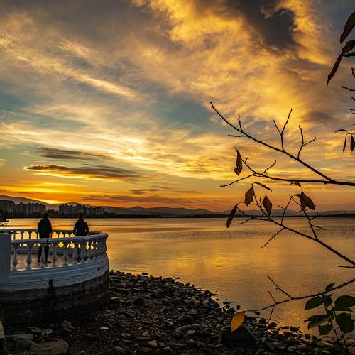 Photo #11059777