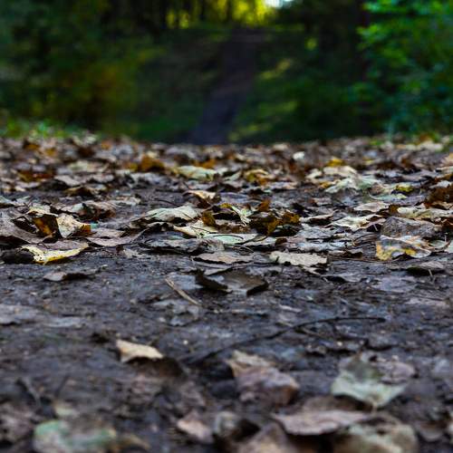 Photo #11059839