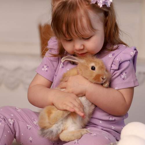 Photo #11060210