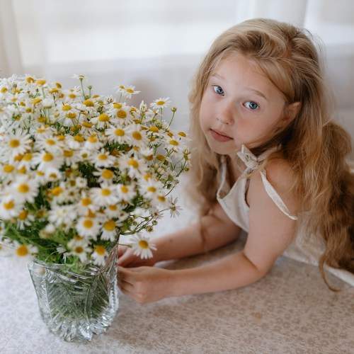 Photo #11060439