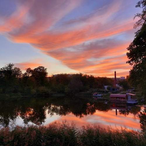 Photo #11060508
