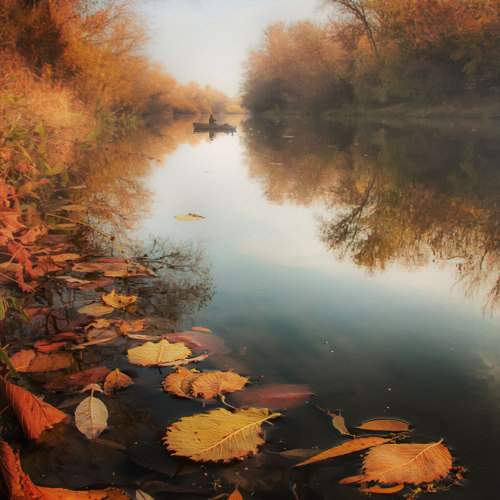 Photo #11060699