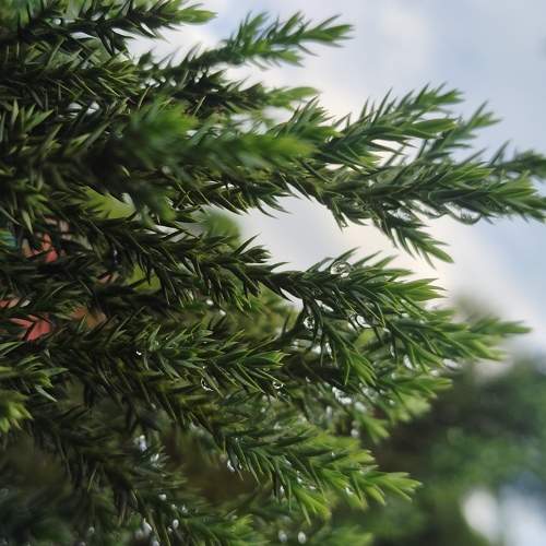 Photo #11060712