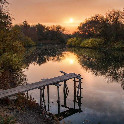 Photo #11060748