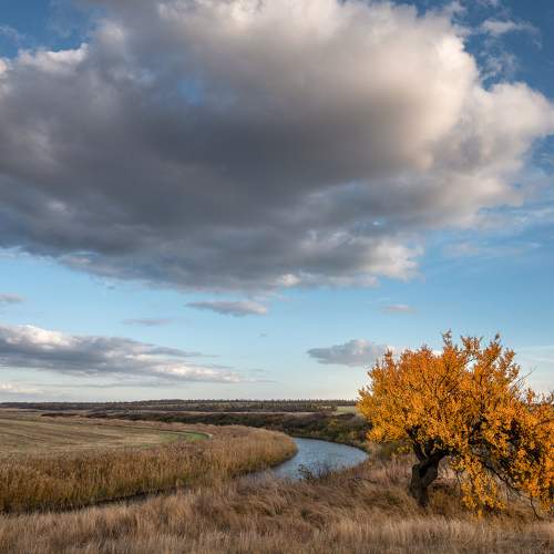 Photo #11060757