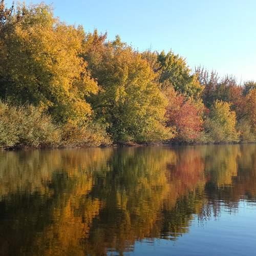 Photo #11061156