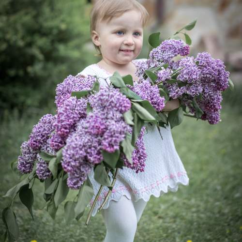 Photo #11061903