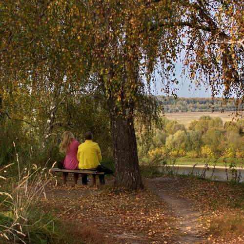 Photo #11062005