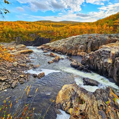 Photo #11062709