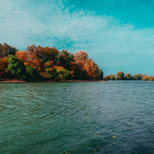 Photo #11062771