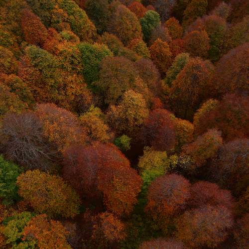 Photo #11062814