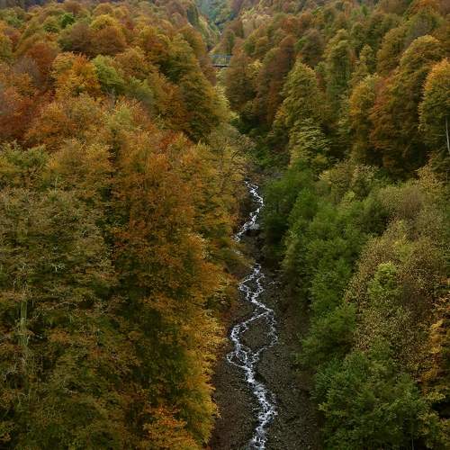 Photo #11062834