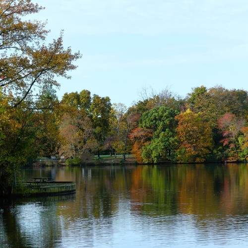 Photo #11063197