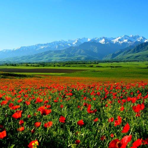 Photo #11063217