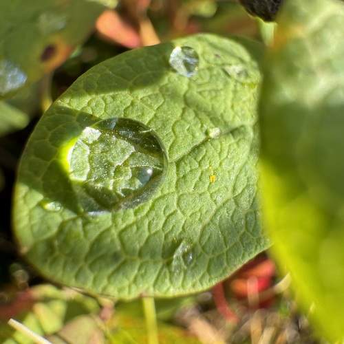 Photo #11063289