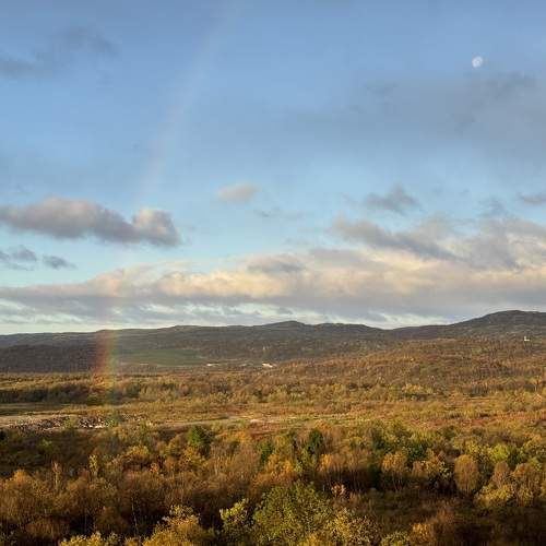 Photo #11063295