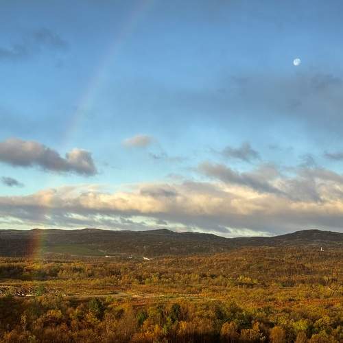 Photo #11063342