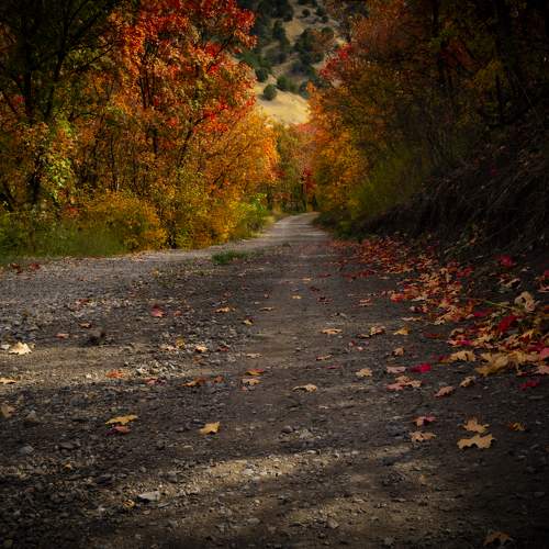 Photo #11063478