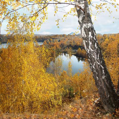 Photo #11063483
