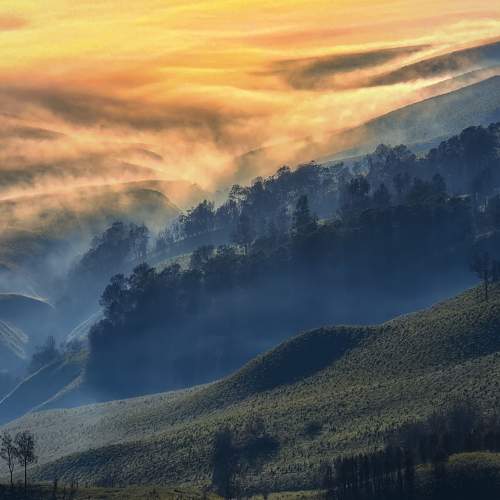 Photo #11063501