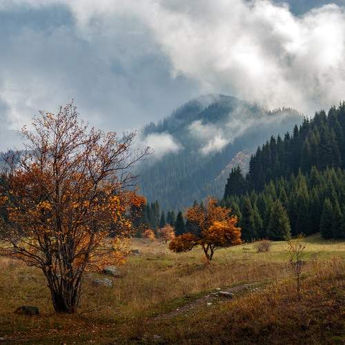 Photo #11063633