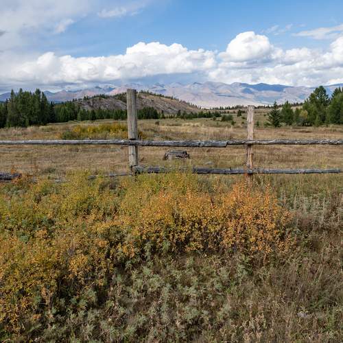 Фотография #11063806