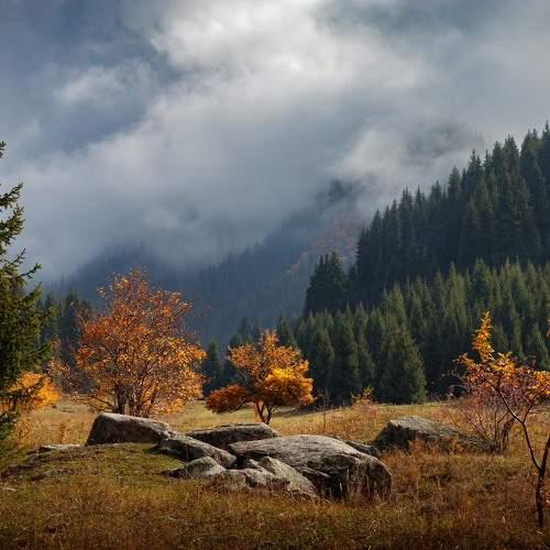 Photo #11063835