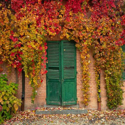 Photo #11064122