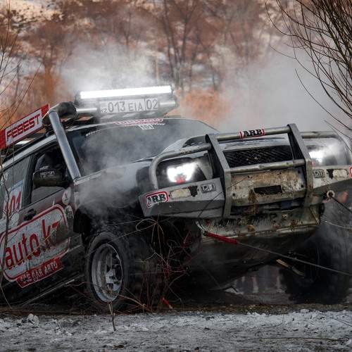 Photo #11064305