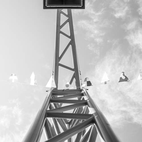 Photo #11064555