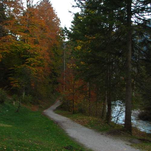 Photo #11064642